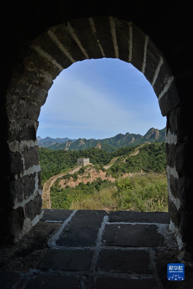 利记官方是什么